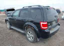 2009 FORD ESCAPE XLT