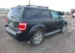 2009 FORD ESCAPE XLT