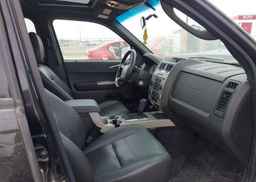 2009 FORD ESCAPE XLT