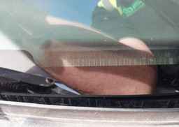 2008 CHEVROLET TRAILBLAZER LS