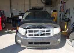 2011 FORD ESCAPE XLT