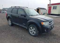 2008 FORD ESCAPE XLT
