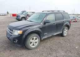 2008 FORD ESCAPE XLT