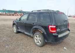 2008 FORD ESCAPE XLT