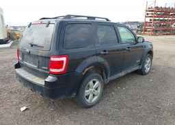 2008 FORD ESCAPE XLT