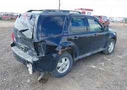 2012 FORD ESCAPE XLT