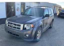 2011 FORD ESCAPE XLT