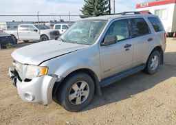 2008 FORD ESCAPE XLT
