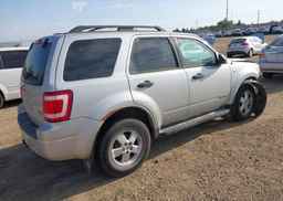 2008 FORD ESCAPE XLT
