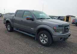 2013 FORD F150 SUPERCREW