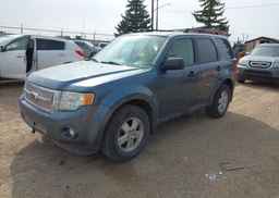 2011 FORD ESCAPE XLT