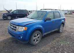 2012 FORD ESCAPE XLT