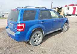 2012 FORD ESCAPE XLT