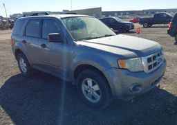 2008 FORD ESCAPE XLT