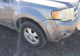 2008 FORD ESCAPE XLT