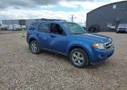 2009 FORD ESCAPE XLT