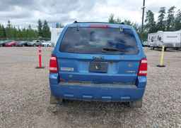 2009 FORD ESCAPE XLT