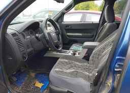 2009 FORD ESCAPE XLT