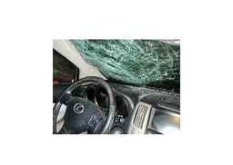 2006 LEXUS RX 400