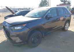2024 TOYOTA RAV4 LE