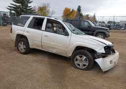 2007 CHEVROLET TRAILBLAZER LS