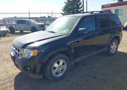 2012 FORD ESCAPE XLT