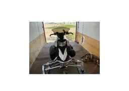 2013 YAMAHA PHAZER RTX