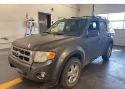 2012 FORD ESCAPE XLT