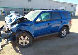 2012 FORD ESCAPE XLT