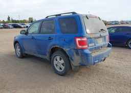 2011 FORD ESCAPE XLT