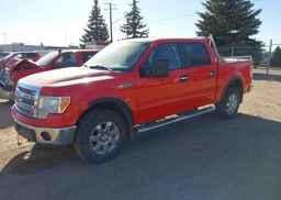 2014 FORD F150 SUPERCREW
