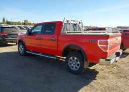 2014 FORD F150 SUPERCREW