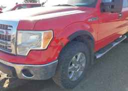 2014 FORD F150 SUPERCREW
