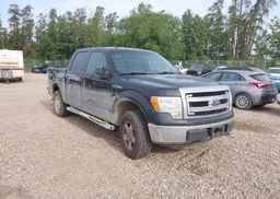2013 FORD F150 SUPERCREW