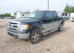 2013 FORD F150 SUPERCREW
