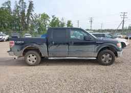 2013 FORD F150 SUPERCREW