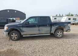 2013 FORD F150 SUPERCREW