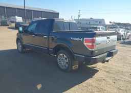 2010 FORD F150 SUPERCREW