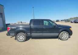 2010 FORD F150 SUPERCREW