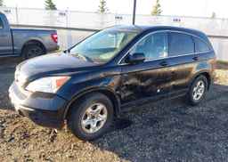 2007 HONDA CR-V