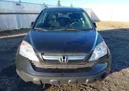 2007 HONDA CR-V