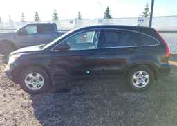 2007 HONDA CR-V