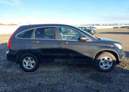 2007 HONDA CR-V