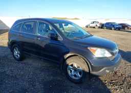 2007 HONDA CR-V