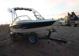 2008 BAYLINER 195