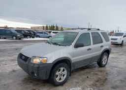 2007 FORD ESCAPE XLT