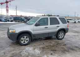 2007 FORD ESCAPE XLT