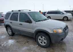 2007 FORD ESCAPE XLT