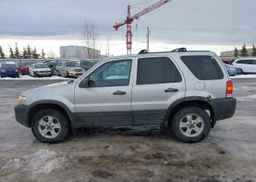 2007 FORD ESCAPE XLT