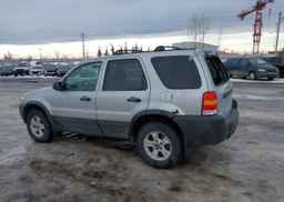 2007 FORD ESCAPE XLT